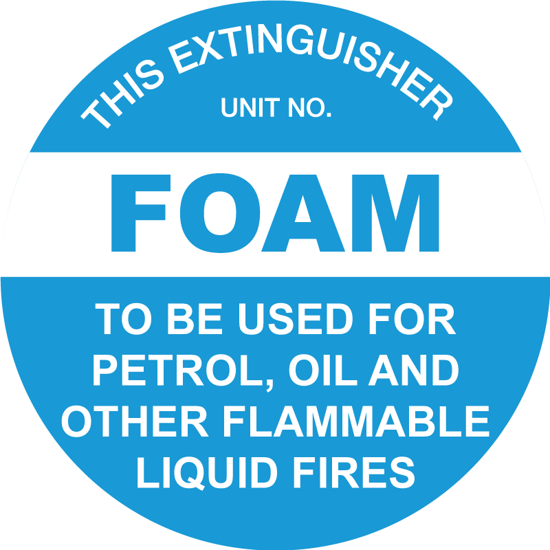 This Extinguisher: Foam 200mm Disc - Image 2